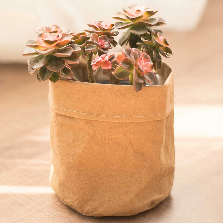 ClaudiaG Kraft Planter (Set of 2)