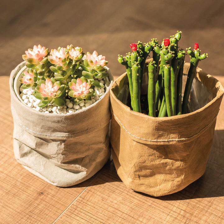 ClaudiaG Kraft Planter (Set of 2)