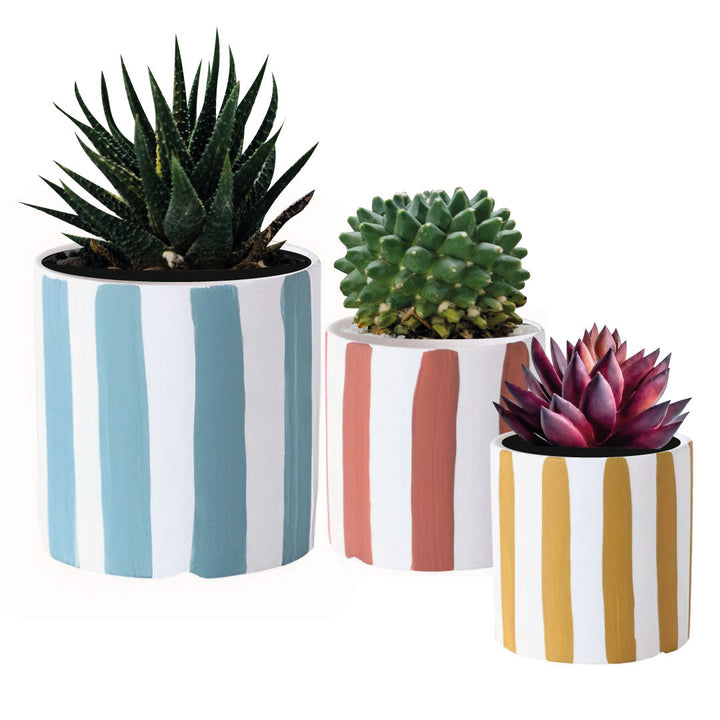 ClaudiaG Playful Planters Set of 3