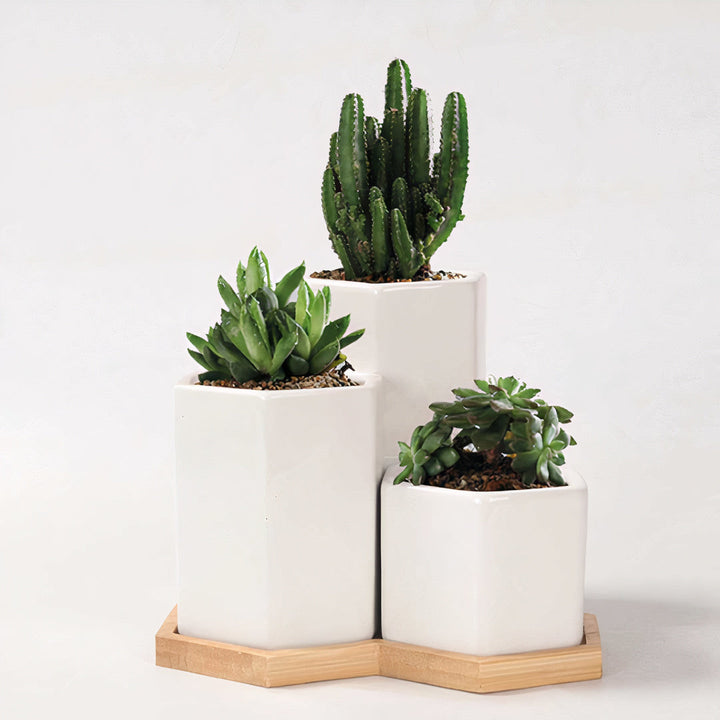 ClaudiaG Geo Tall Trio (Set of 3)