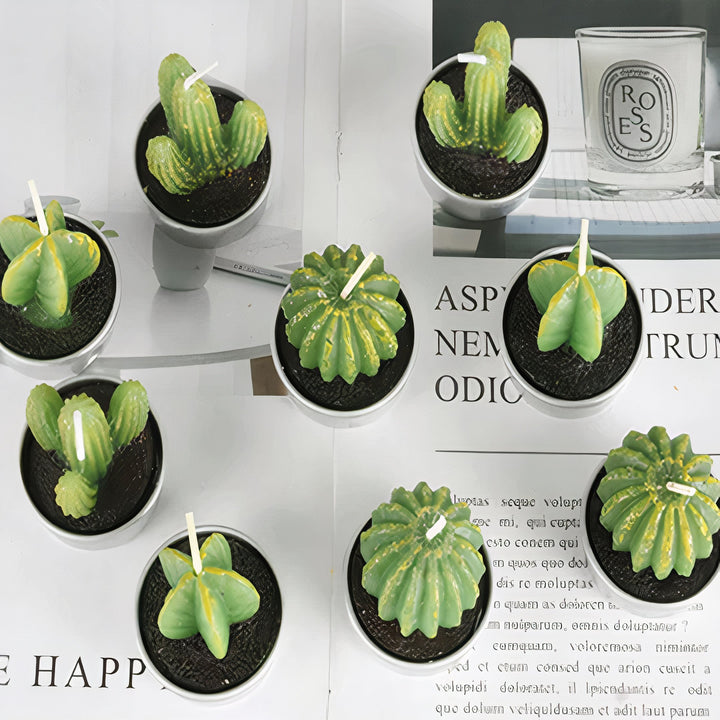 ClaudiaG Sahara Succulent Candle Set