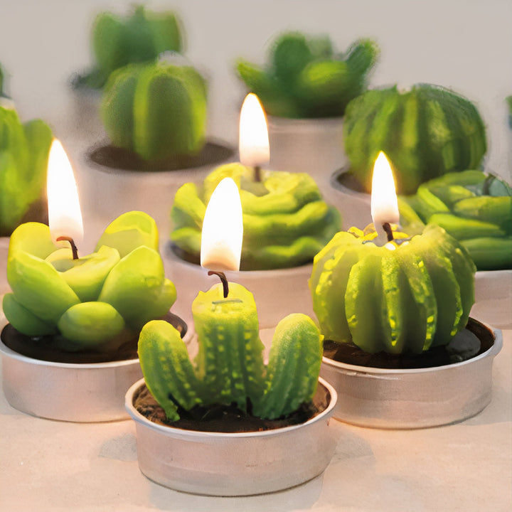 ClaudiaG Sahara Succulent Candle Set