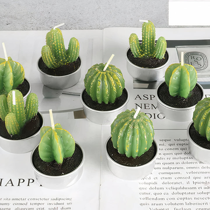 ClaudiaG Sahara Succulent Candle Set