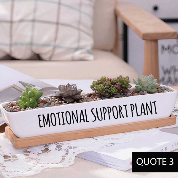 emotional support plant pot Message in a Planter
